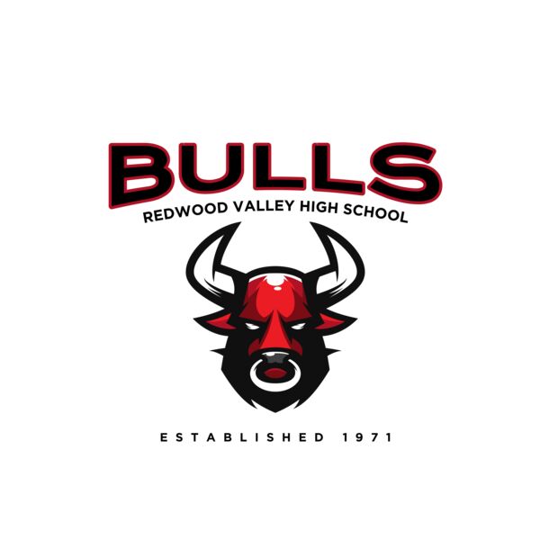 Bulls Logo Template Thumbnail